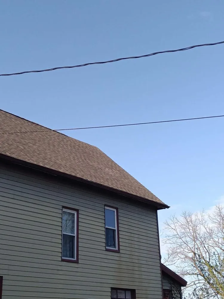 Slide of Bird and Bean Construction