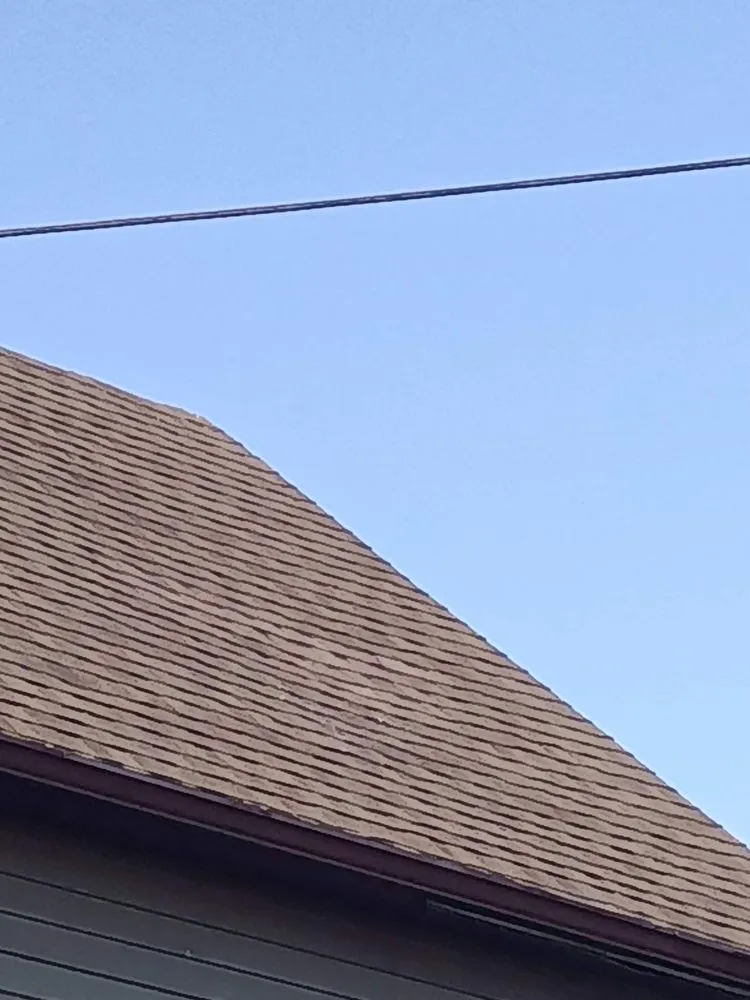 Slide of Bird and Bean Construction