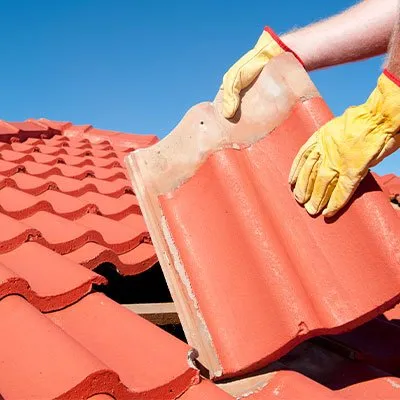 Slide of Bird and Bean Construction