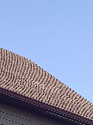 Bird and Bean Construction