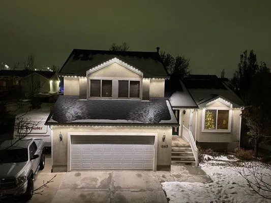 Bird Dog Roofing and Construction