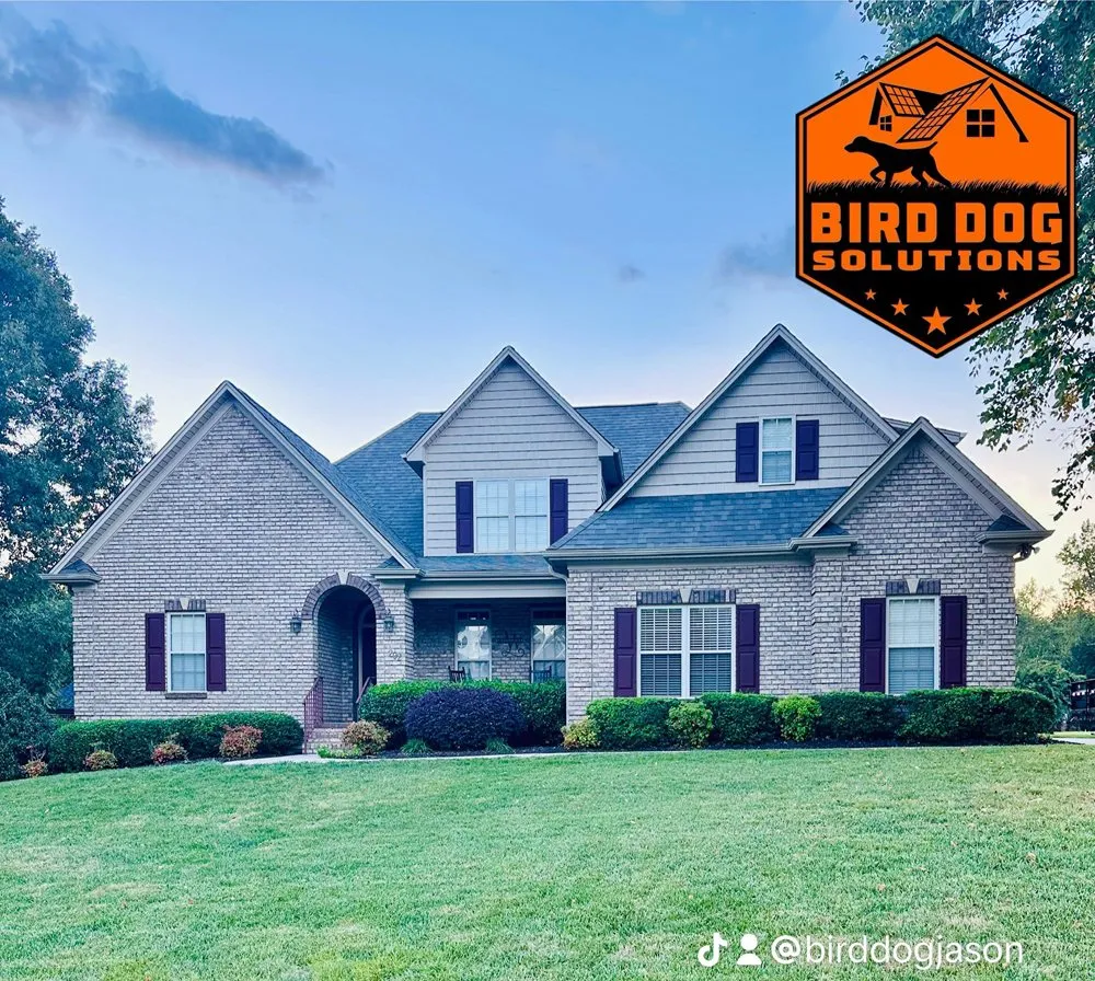 Slide of Bird-Dog Solutions