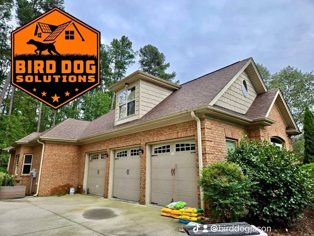 Slide of Bird-Dog Solutions