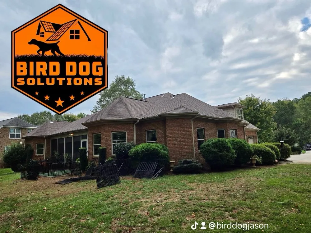 Slide of Bird-Dog Solutions