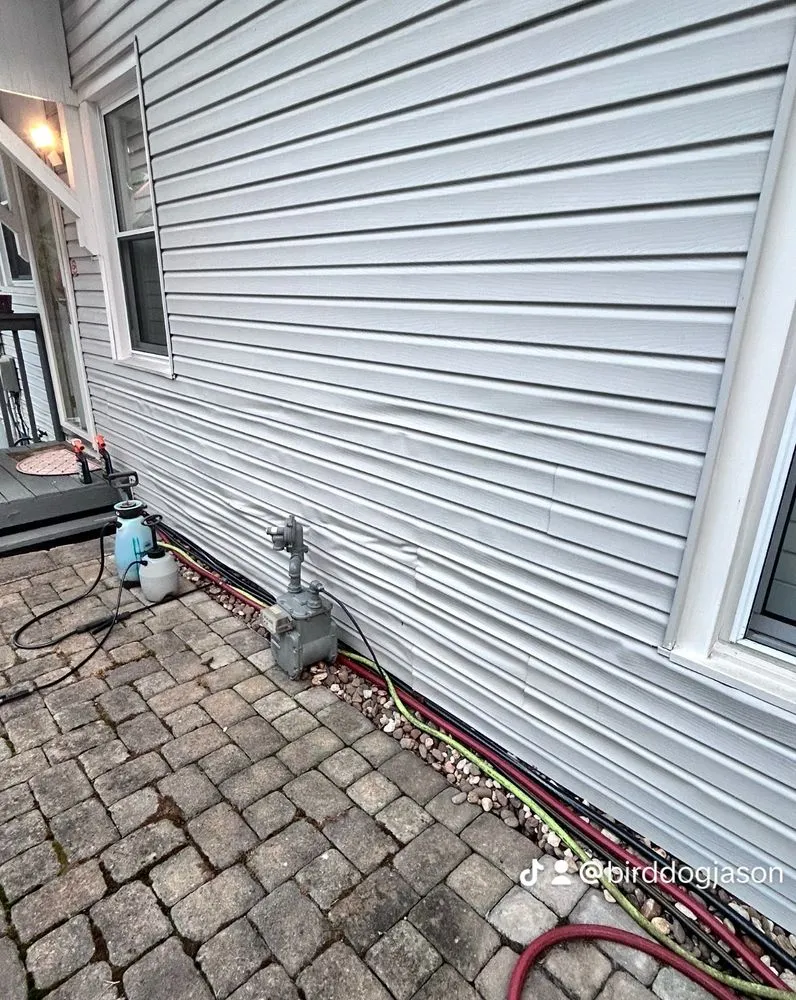 Slide of Bird-Dog Solutions