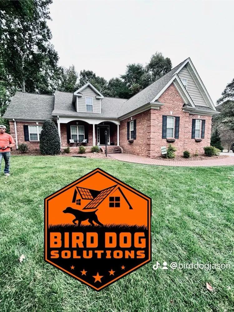 Slide of Bird-Dog Solutions