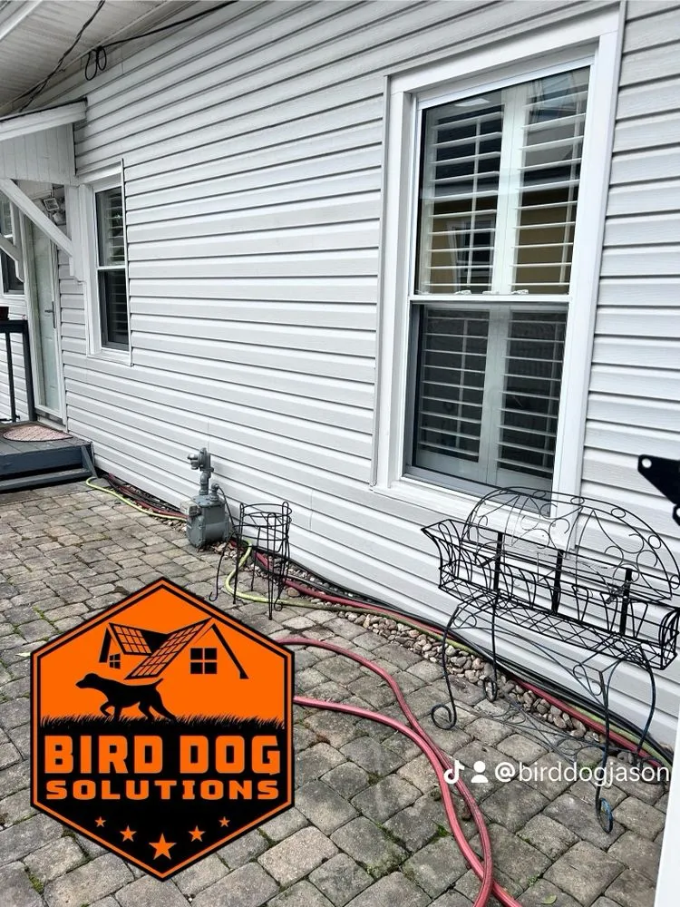 Slide of Bird-Dog Solutions