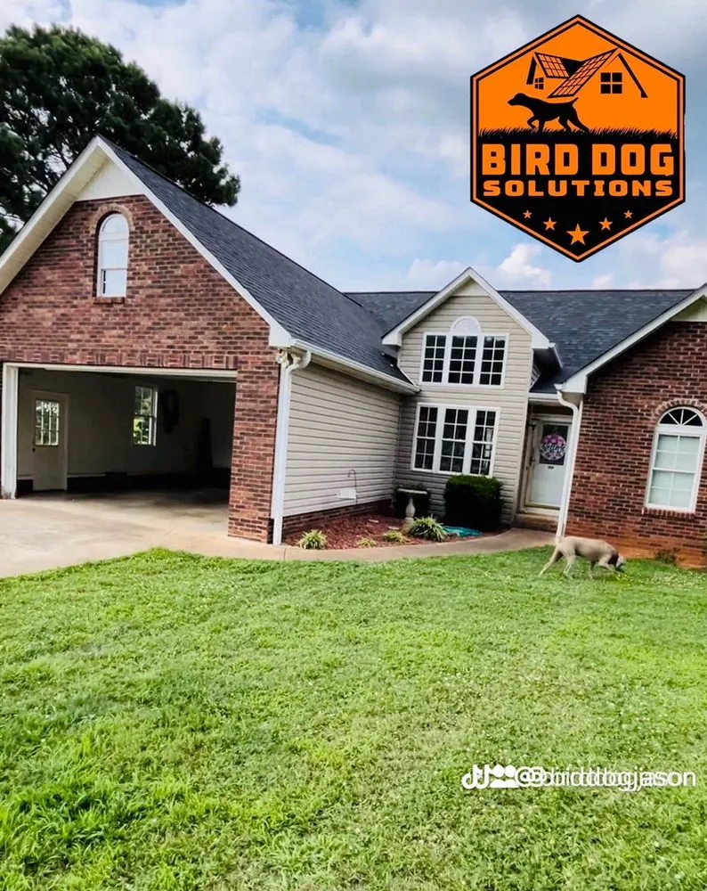 Slide of Bird-Dog Solutions