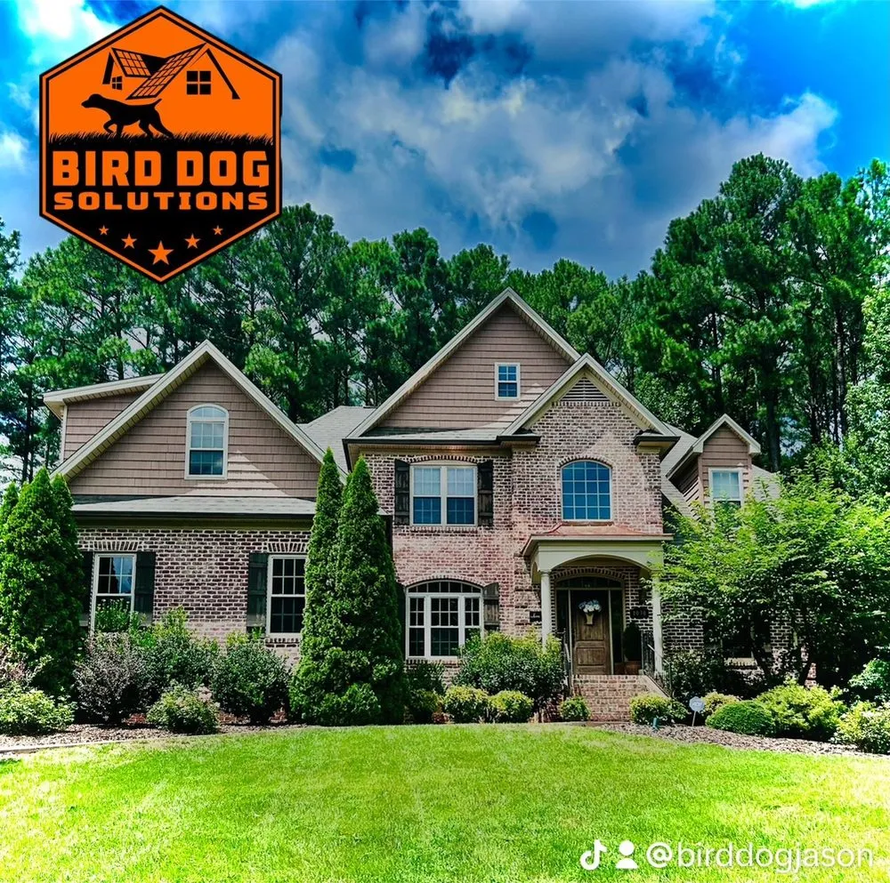 Slide of Bird-Dog Solutions