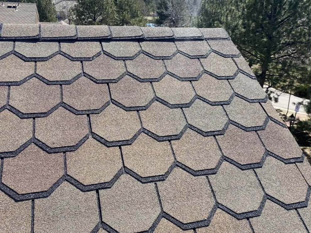 Slide of Birdie Roofing Company