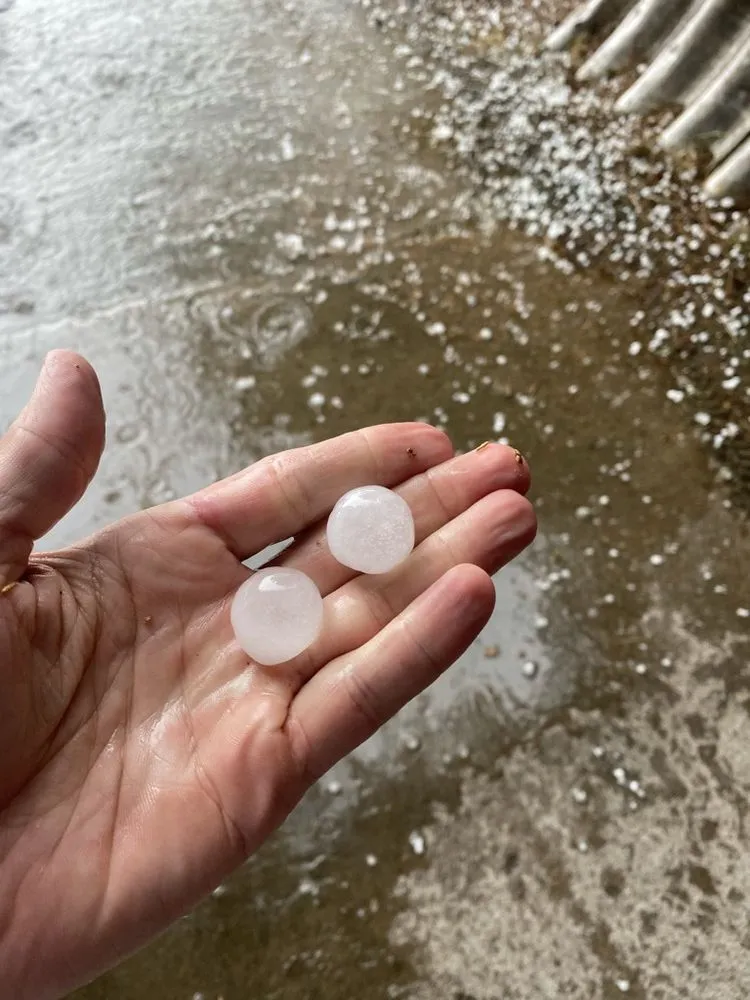 Slide of Birdie Roofing Company