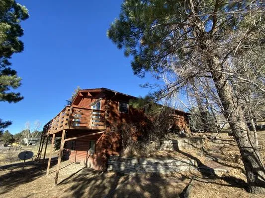 Birdie Roofing Company Logo