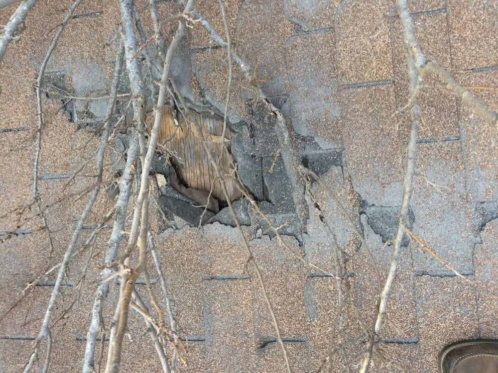 Slide of Bird's Eye Roofing & Construction