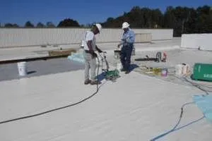 Slide of BIRS The Roof Savers