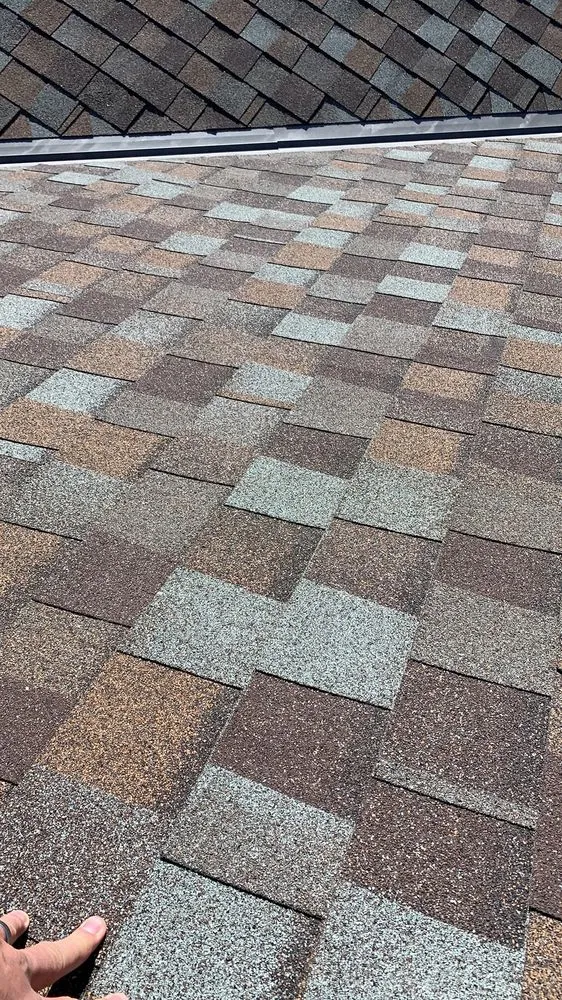 Slide of Bishop Exteriors