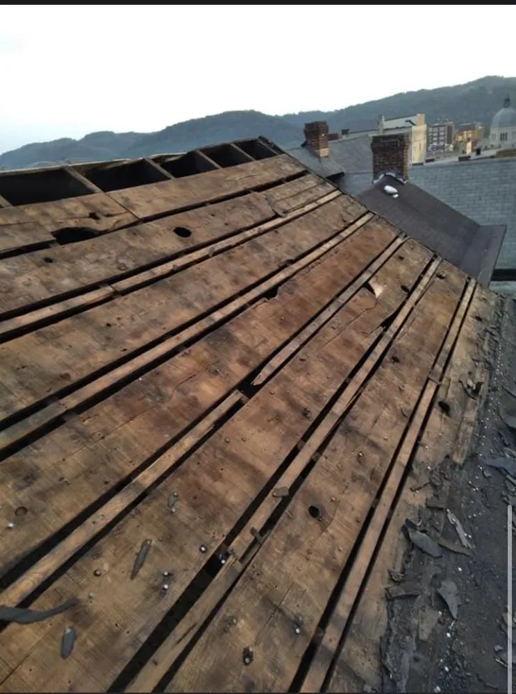 Slide of Bittner’s Contracting