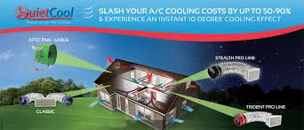 Slide of Bizzy Bee Builders