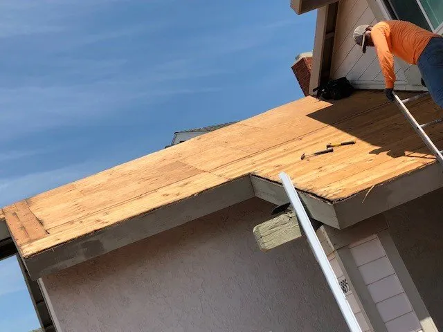 Slide of Bizzy Bee Builders