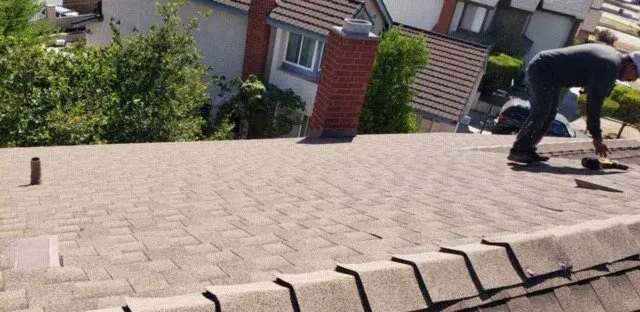 Slide of Bizzy Bee Builders