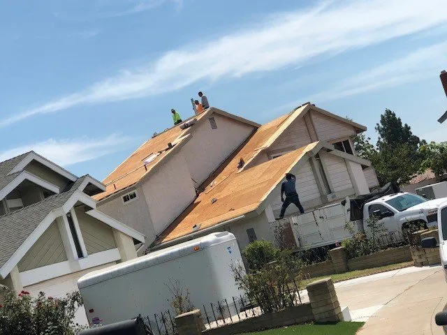 Slide of Bizzy Bee Builders