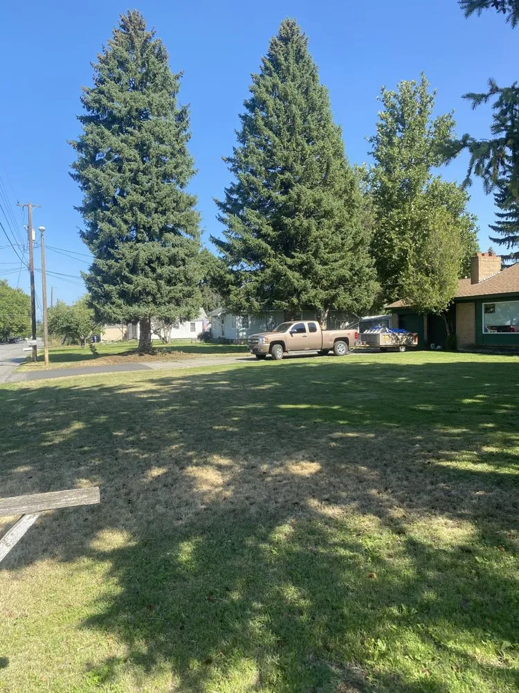 Slide of B&J's Construction Makeover