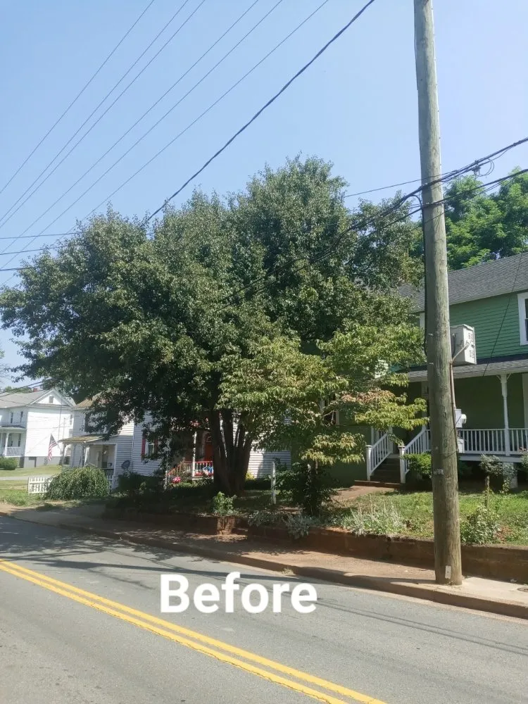 Top-rated roof leak repair for residential properties across Stanardsville, VA - BK&K Home and Repairs