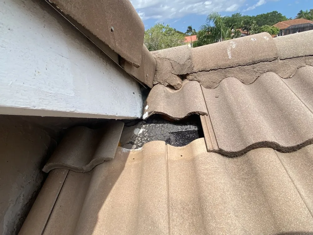 Slide of BL Florida Roofers