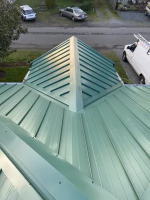 Bl Roofing Cleaning Logo