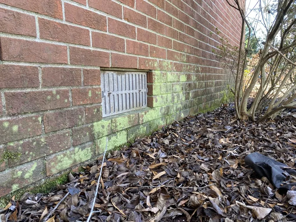 Slide of Black and White Soft Wash