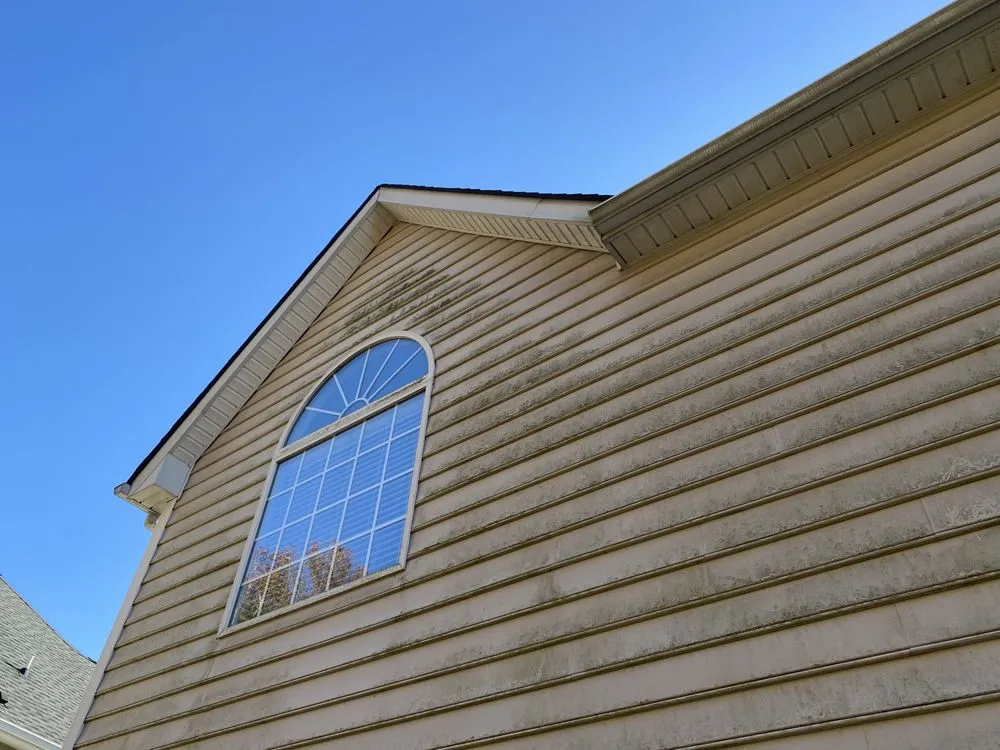 Slide of Black and White Soft Wash