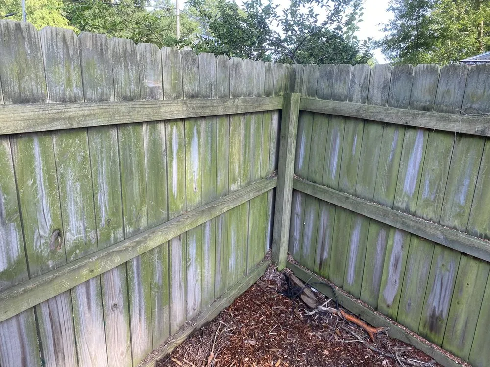 Slide of Black and White Soft Wash