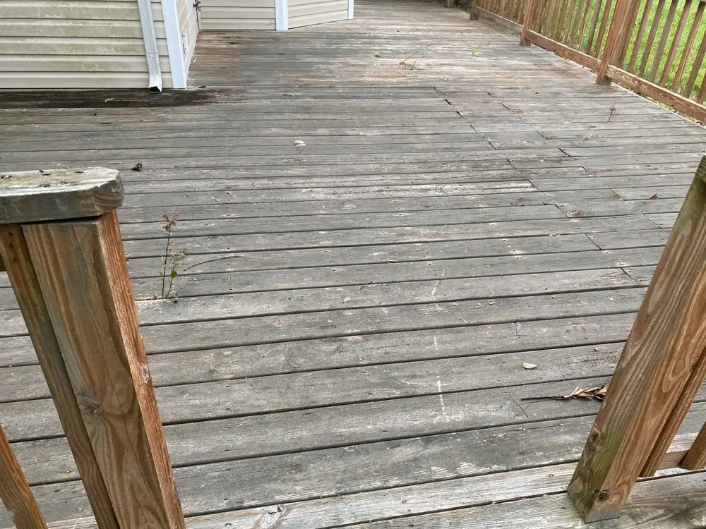 Slide of Black and White Soft Wash