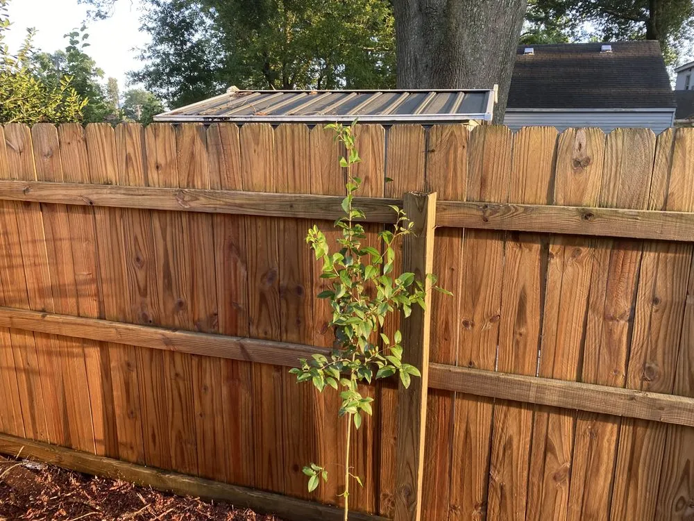 Slide of Black and White Soft Wash