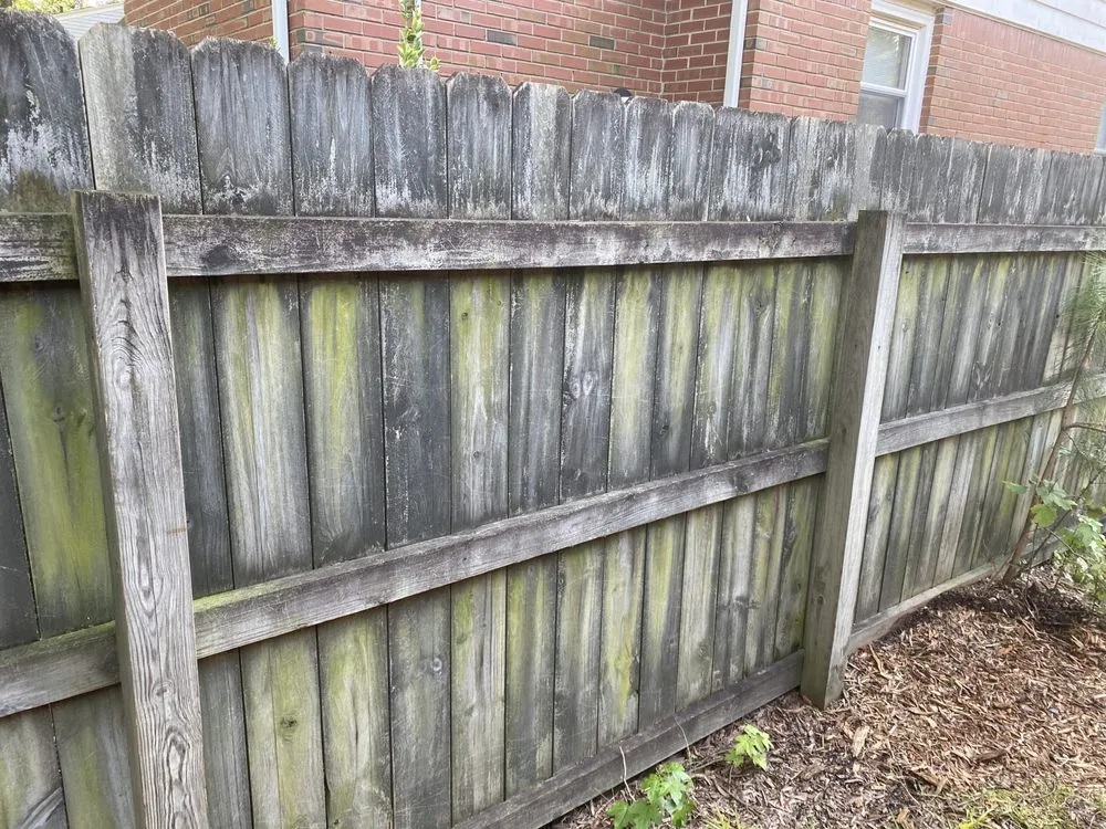 Slide of Black and White Soft Wash