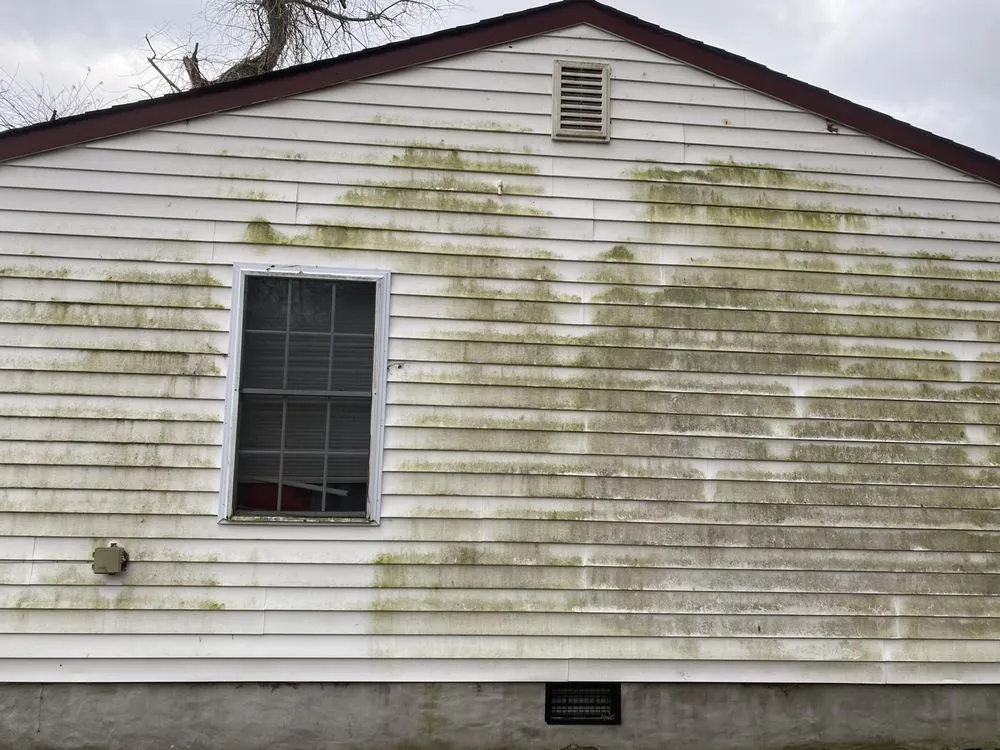 Slide of Black and White Soft Wash