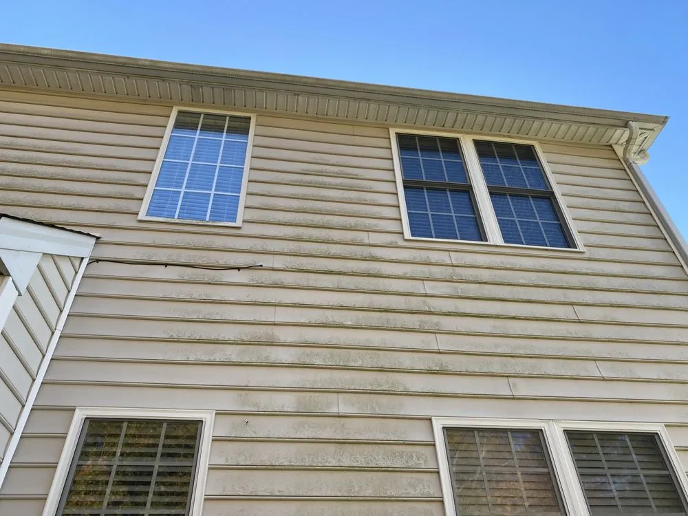 Slide of Black and White Soft Wash