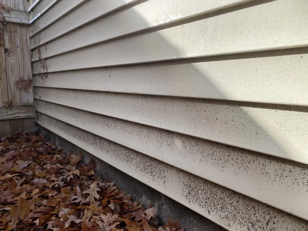 Slide of Black and White Soft Wash