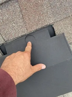 Black Bear Roofing Logo