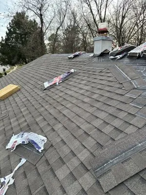 Black Cat Construction Logo