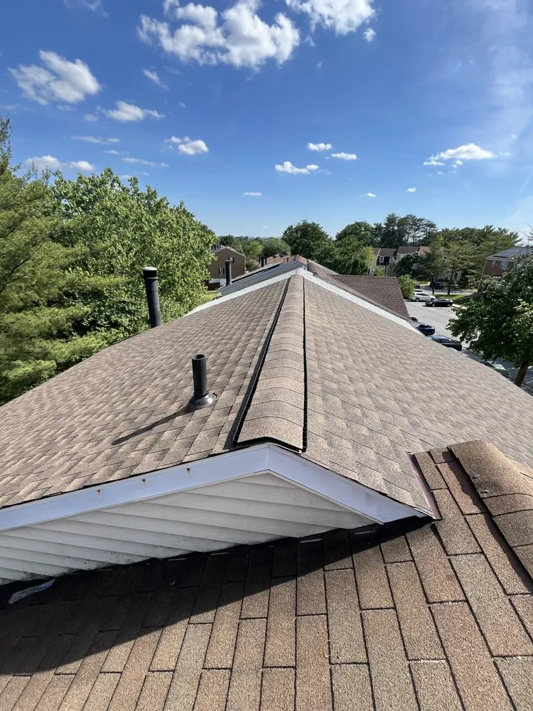 Slide of Black Clover