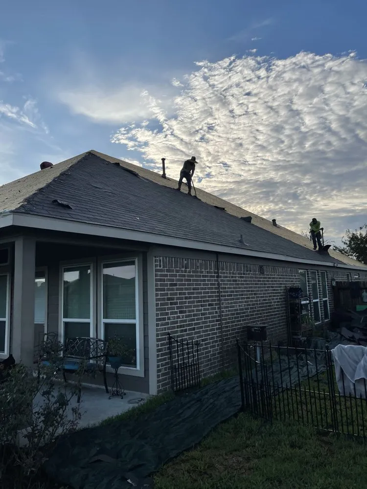 Slide of Black Coast