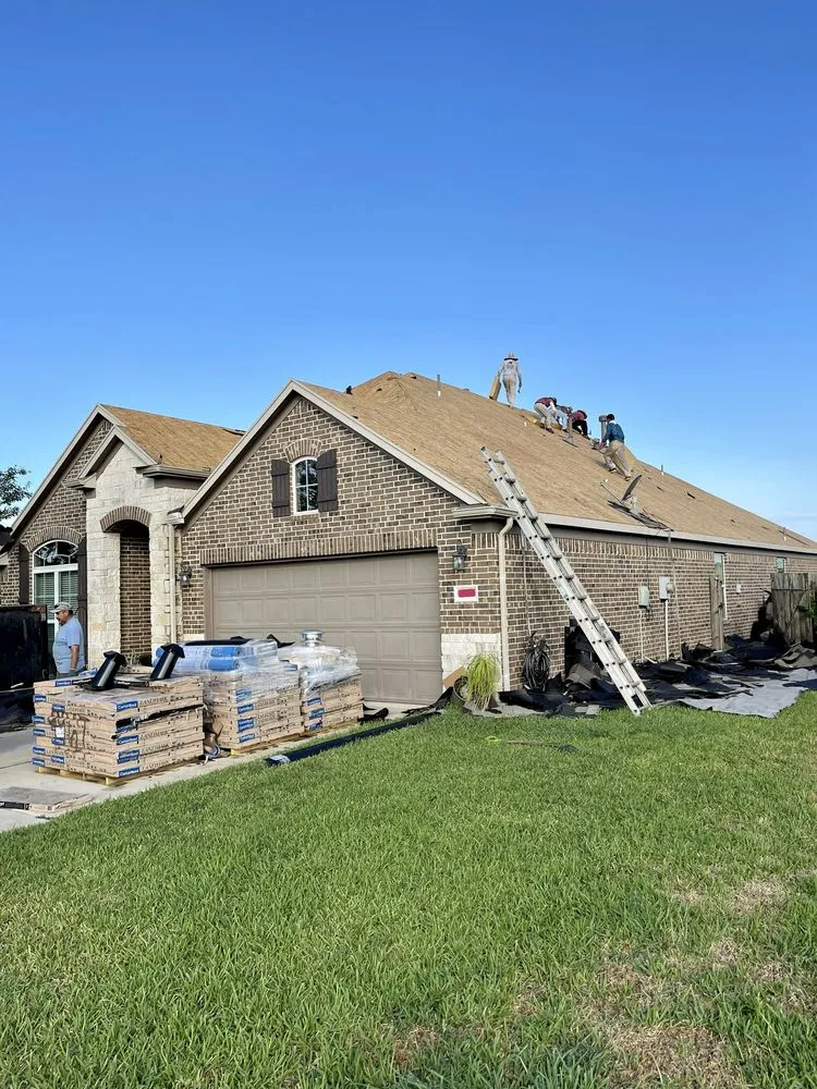 Slide of Black Coast