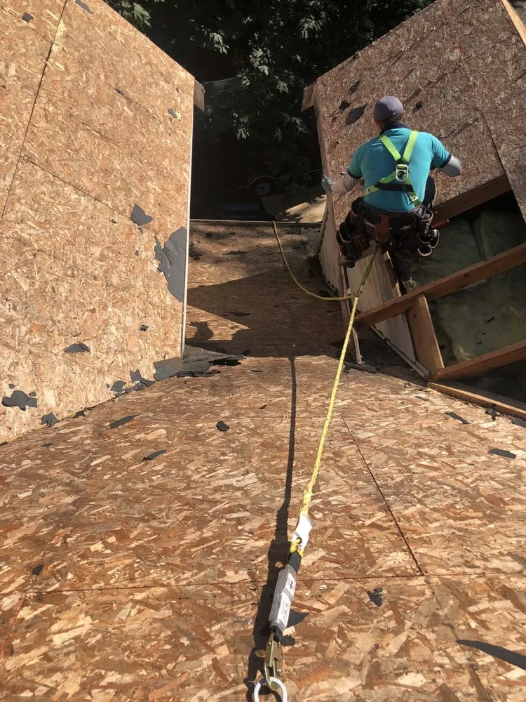 Slide of Black Diamond Renovators