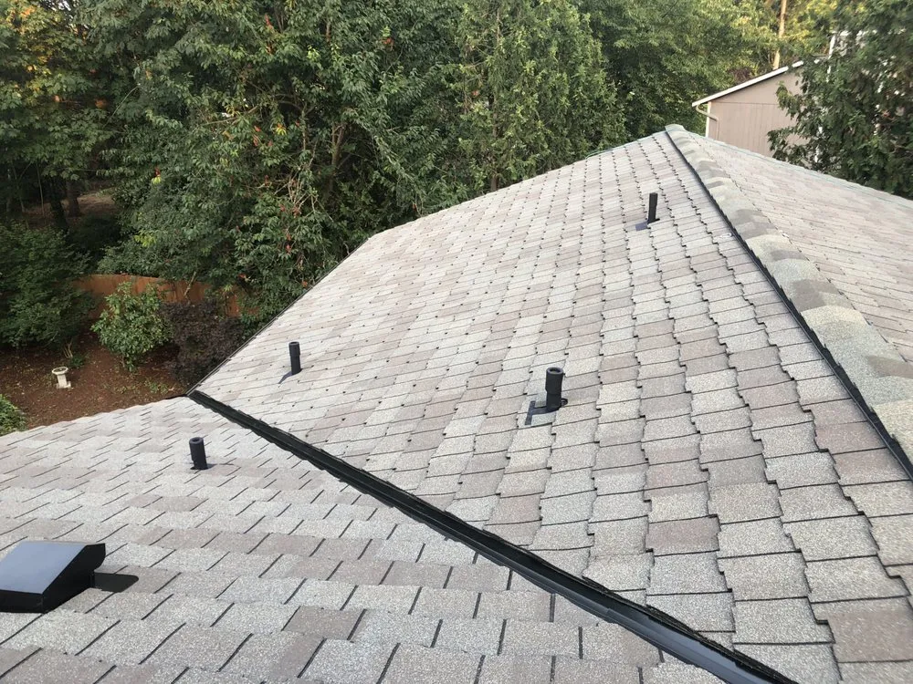 Slide of Black Diamond Renovators