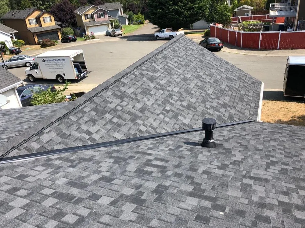 Slide of Black Diamond Renovators