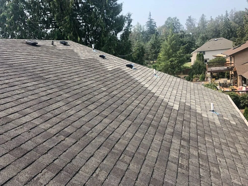 Slide of Black Diamond Renovators