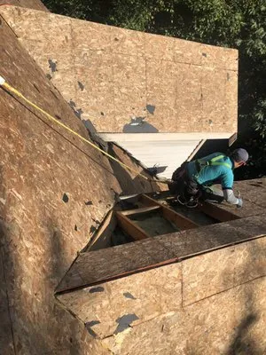 Black Diamond Renovators Logo