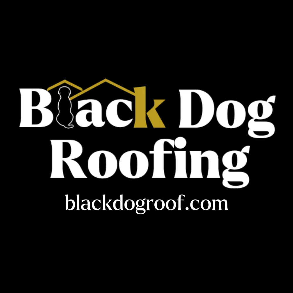 Reliable roof repair for homes across St Louis, MO - Black Dog Roofing