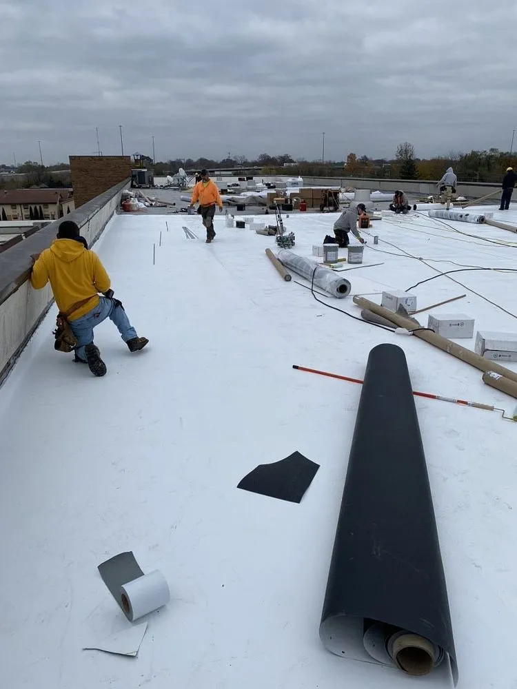 Slide of Black Forest Construction