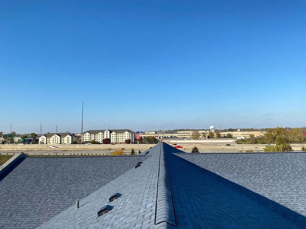 Slide of Black Forest Construction